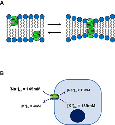 Figure1